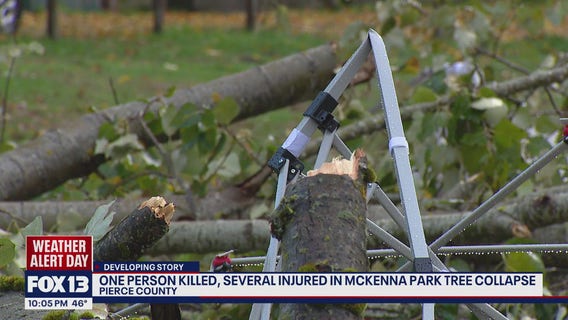 Deadly tree collapse at Halloween event kills man, injures others near Roy, WA