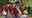 4th of July celebrated across Delaware Valley