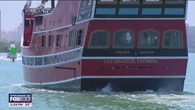 Passengers and crew aboard cruise ship detail seeing chaos of Clearwater Ferry crash