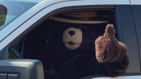 Smokey Bear arrests man accused of stealing his signs across Florida