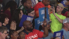 Union members react to Harris' Detroit visit on Labor Day: 'We are the underdog'