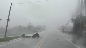 Wisconsin volunteers helping animals after Hurricane Milton