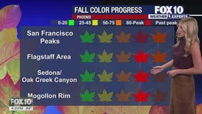 Evening Weather Forecast - 11/6/25