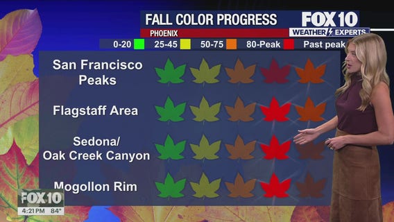 Evening Weather Forecast - 11/6/25