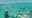 Sarasota gearing up for Aquapalooza