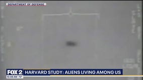 Harvard study: Aliens living among us | The Nine