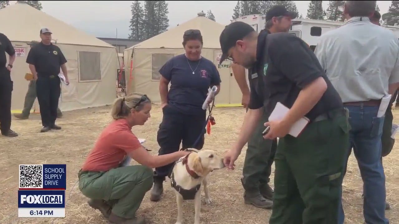 SF firedog makes history while deployed to Shelly Fire
