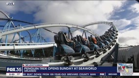 POV of 'Penguin Trek' at SeaWorld Orlando