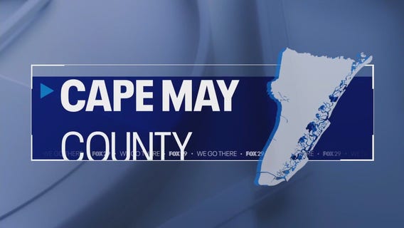 NJ child left marked by dog shock collar as mother, grandmother arrested: officials