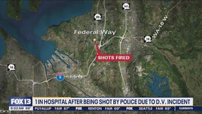 Federal Way officers shoot armed domestic violence suspect