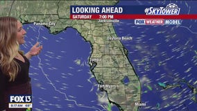 Tampa weather | Breezy and mostly rain-free