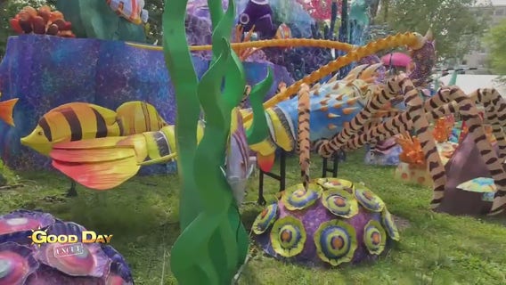 Good Day Uncut: Lantern Festival