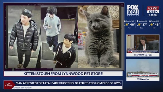Kitten stolen from Lynnwood, WA pet store