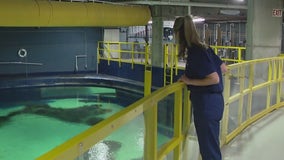 Meet OdySea Aquarium vet tech Jenny