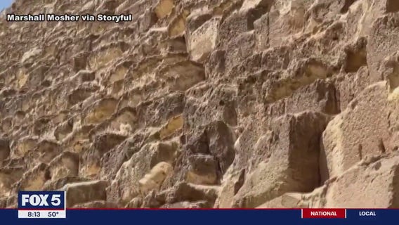 Dog spotted on top of Great Pyramid of Giza returns safely to the bottom