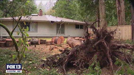 Health risks persist in WA nearly a week after bomb cyclone