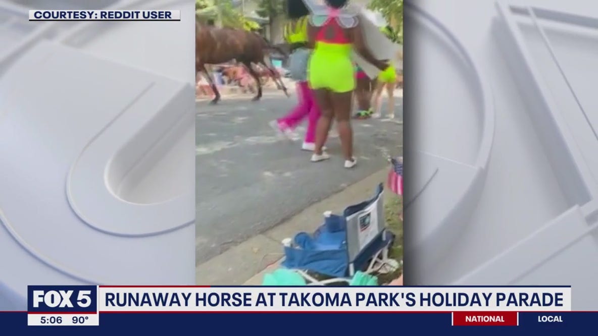Runaway horse grazes woman at Takoma Park's Fourth of July Parade