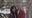 DOJ interviews Epstein accomplice Ghislaine Maxwell