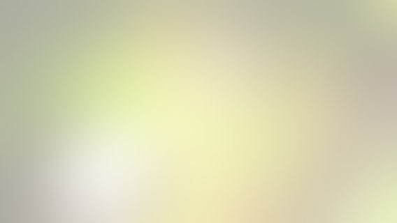 Video: Blind dog finds blind python in Florida Everglades: ‘Another notch on her belt’