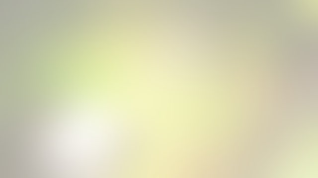 Video: Blind dog finds blind python in Florida Everglades: ‘Another notch on her belt’