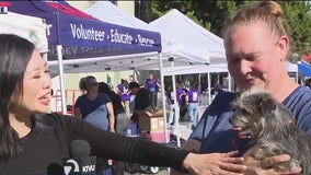 California's largest pet adoption event in Berkeley a success