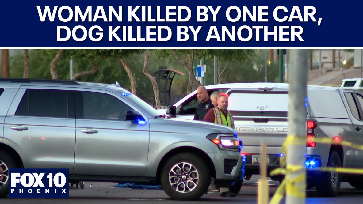 Woman and dog killed in hit-and-runs l FOX 10 Talks