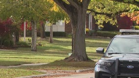 83-year-old man killed in deadly Royal Oak stabbing