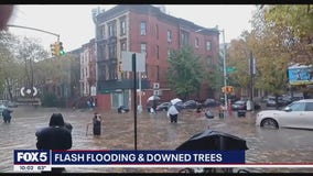 Flash flooding and downed trees after NYC severe rainfall