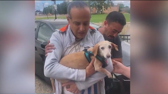 Bam Bam the support dog reunited with owner 2+ months after being stolen from Chicago backyard