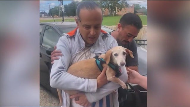 Bam Bam the support dog reunited with owner 2+ months after being stolen from Chicago backyard