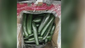 Cucumbers recalled amid salmonella outbreak