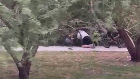 Blind Buckeye man trapped by fallen tree before monsoon storm