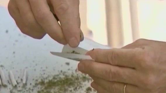 Florida's Amendment 3 will allow voters decide on legalization of recreational marijuana