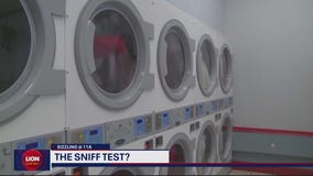 We've all done it: the sniff test