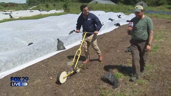 FOX 29 LIVE: Weavers Way in Roxborough.