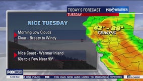 Breezy, mild