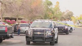 Mother, 2 daughters stabbed by suspect at Mesa apartments: PD