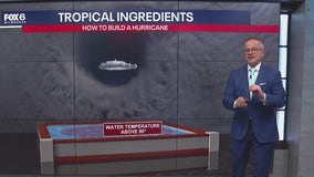 Tropical ingredients needed to build a hurricane