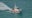 2 likely drownings reported on Lake Michigan during weekend heat wave, CFD says