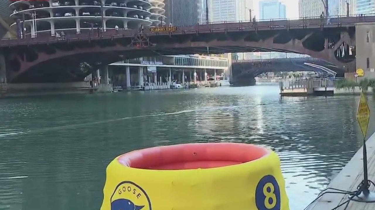 Chicago River Swim Returns After Nearly Century, Highlights Environmental Progress