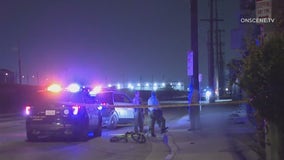 Bicyclist struck and killed in South LA