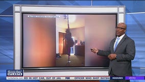 Cat's unusual workout routine