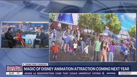 Savannah Bananas coming to Disney World: Here's when