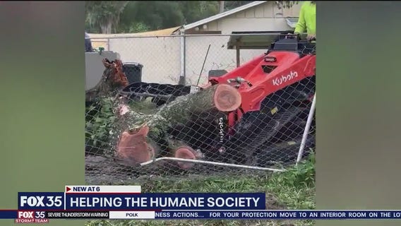 Good news: Volunteers help Southeast Volusia Humane Society