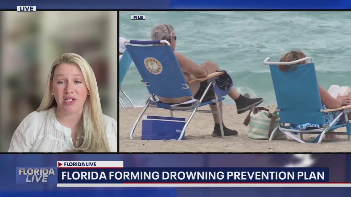 Florida forming drowning prevention plan