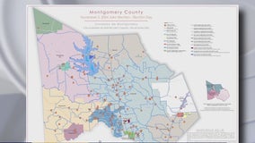 Voting in Montgomery, Waller County