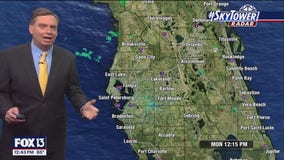 Tampa Weather | Summer weather pattern all week