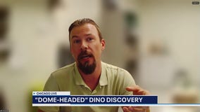 New ‘dome-headed’ dinosaur species discovered: Here's what we know