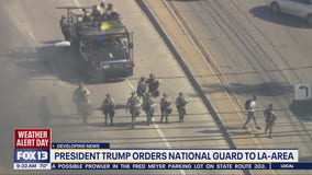 Trumps orders National Guard on the ground in LA following protests
