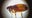 Long Beach reports flea-borne typhus outbreak